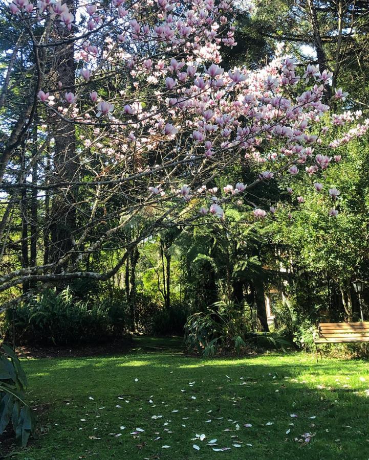 Casa Goldoni Gramado Villa Bagian luar foto